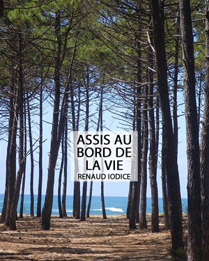 Renaud Iodice, Assis au bord de la vie