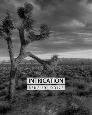Renaud Iodice, Intrication